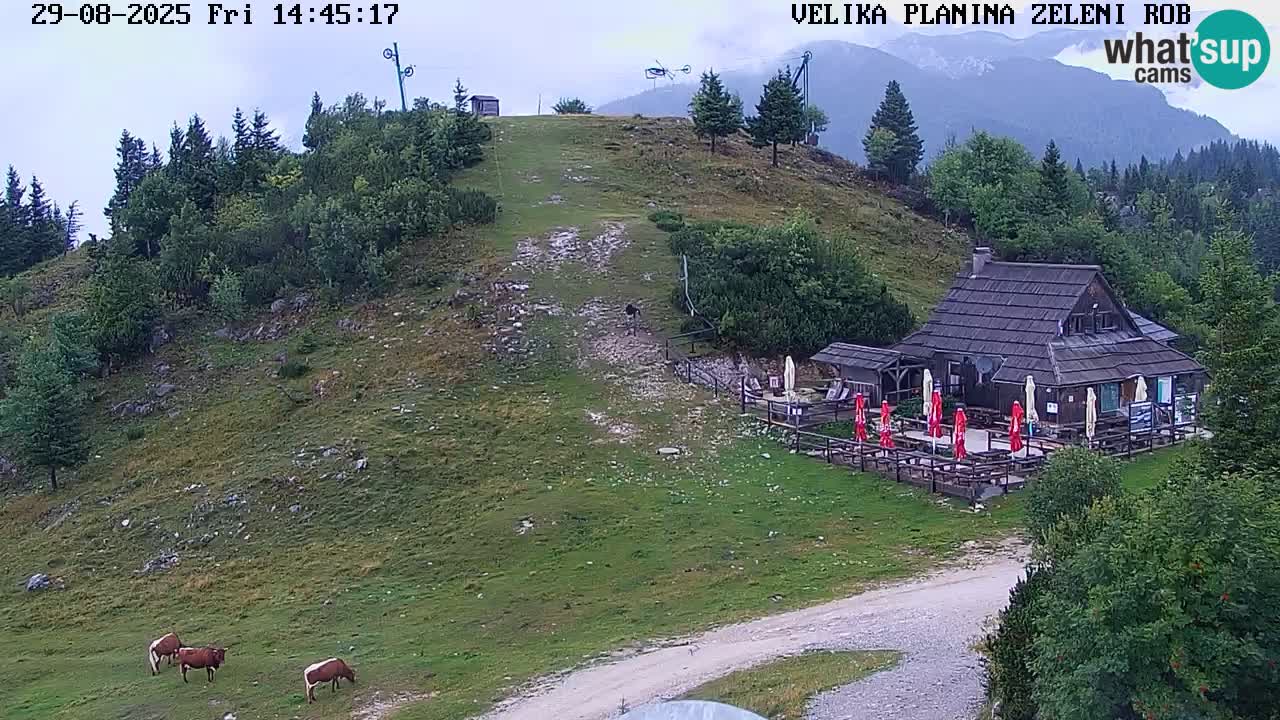 Zeleni Rob | Webcam en vivo Velika Planina