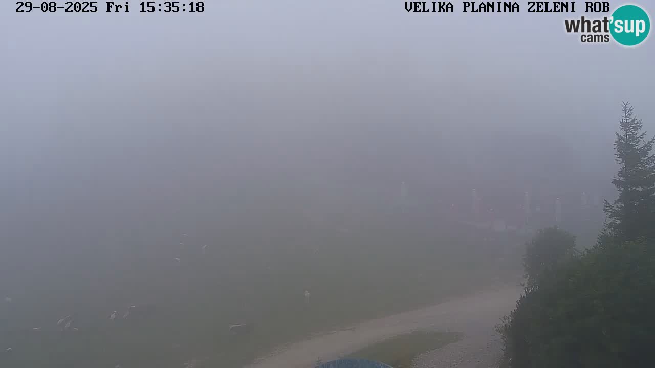 Zeleni Rob | Webcam live Velika Planina