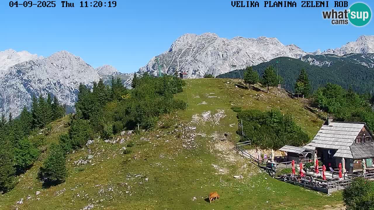 Zeleni Rob | Webcam live Velika Planina