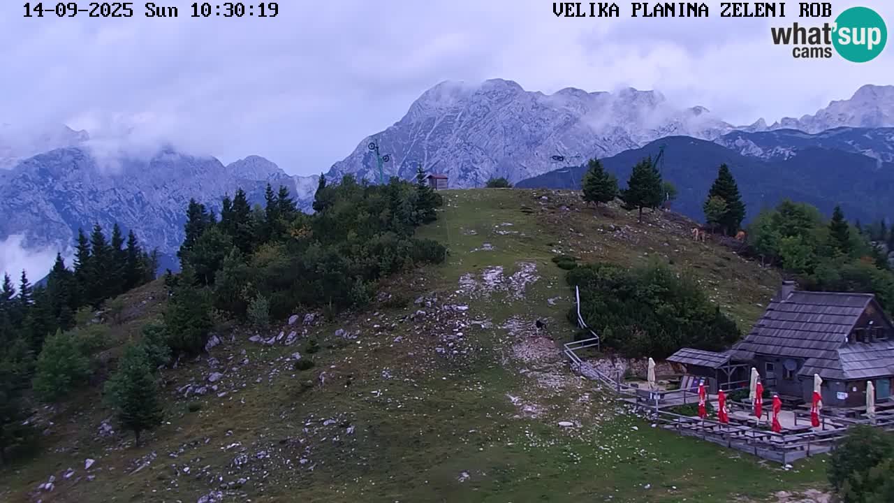 Zeleni Rob – kamera v živo | Velika Planina