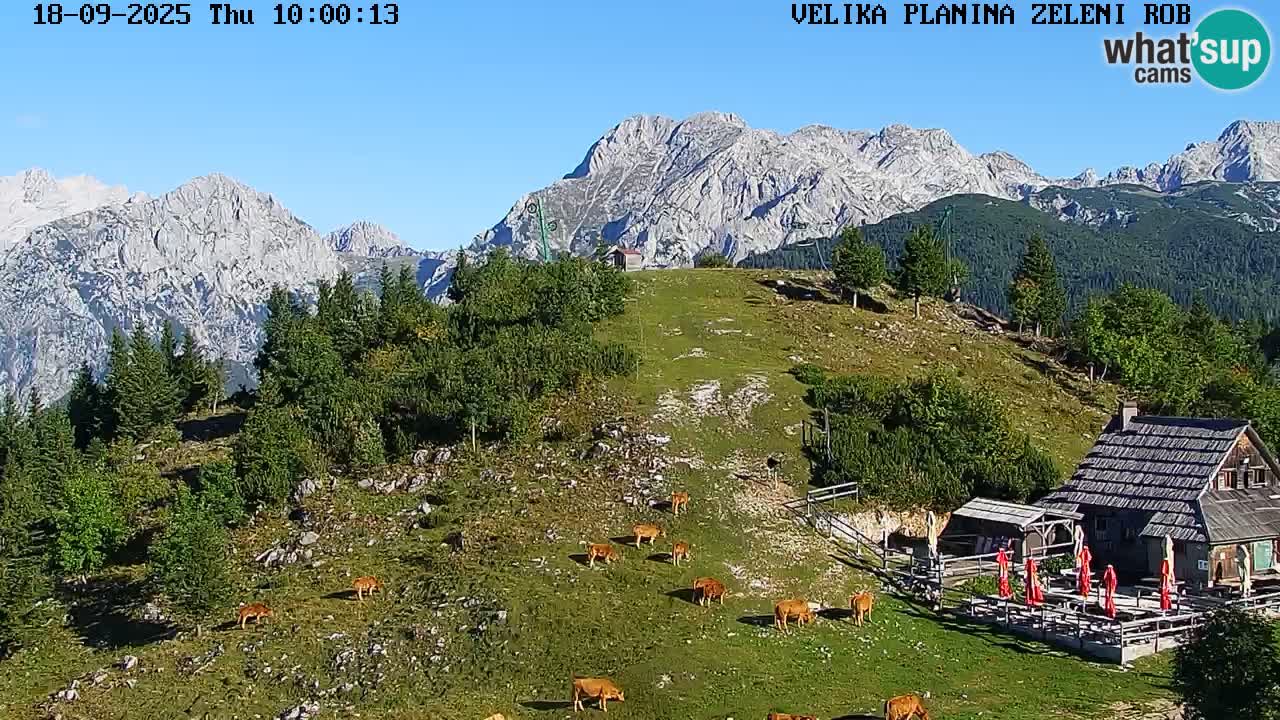Zeleni Rob | Webcam en vivo Velika Planina