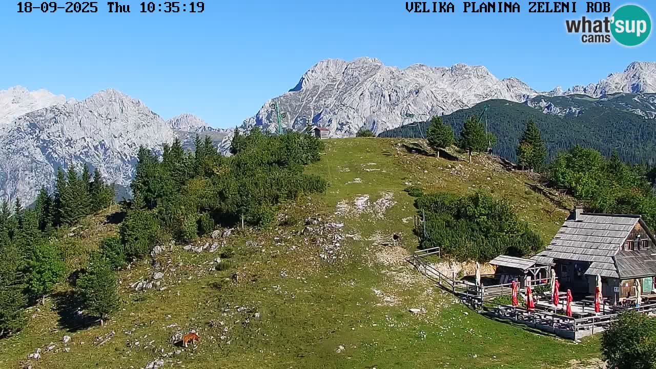 Zeleni Rob | Webcam live Velika Planina