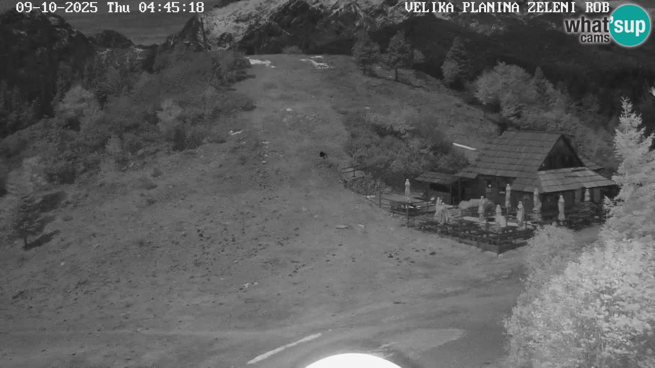 Zeleni Rob | Webcam en vivo Velika Planina