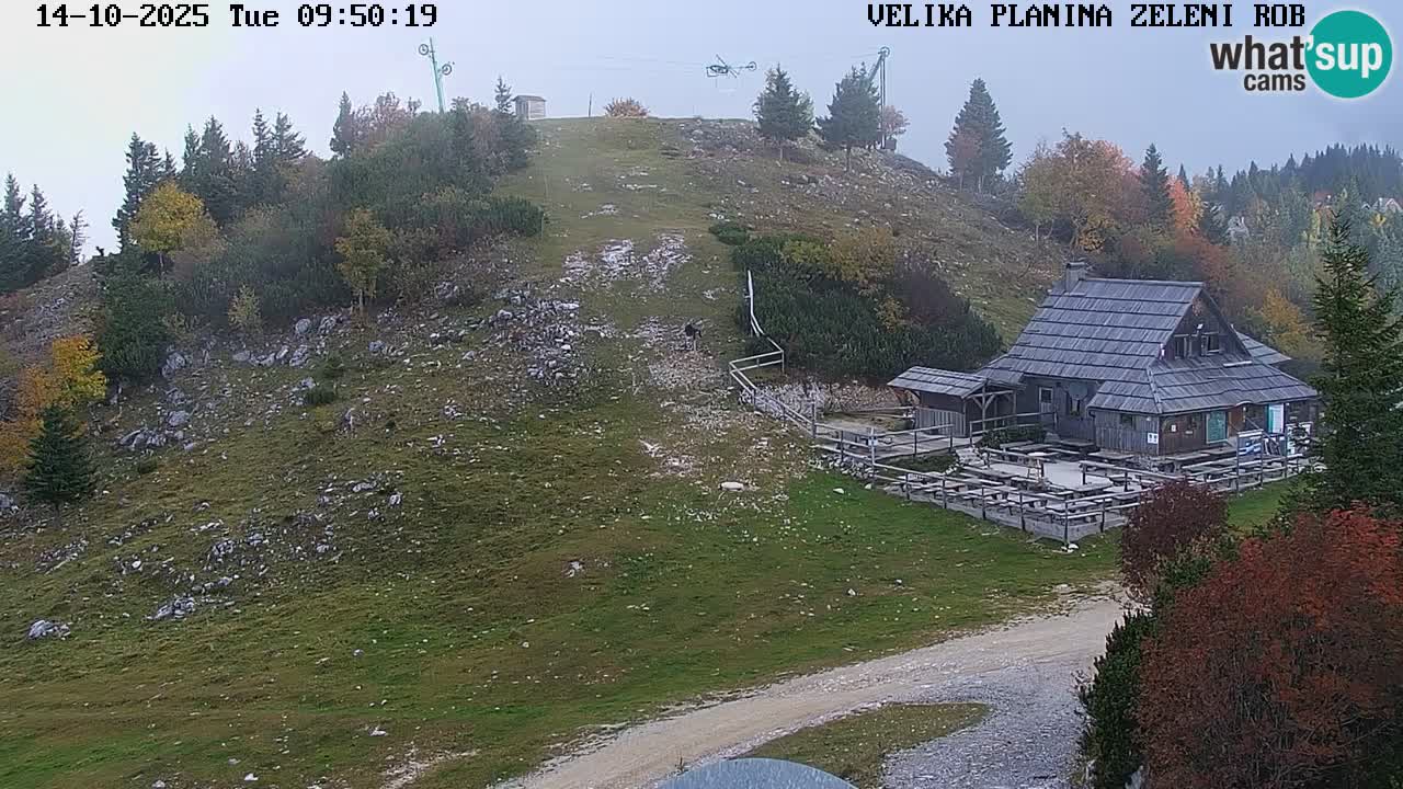 Zeleni Rob – kamera v živo | Velika Planina