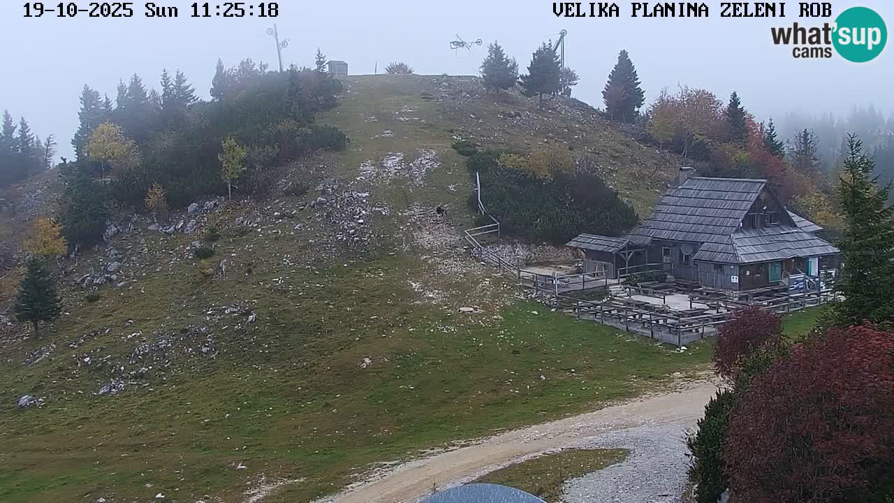 Zeleni Rob | Webcam en vivo Velika Planina