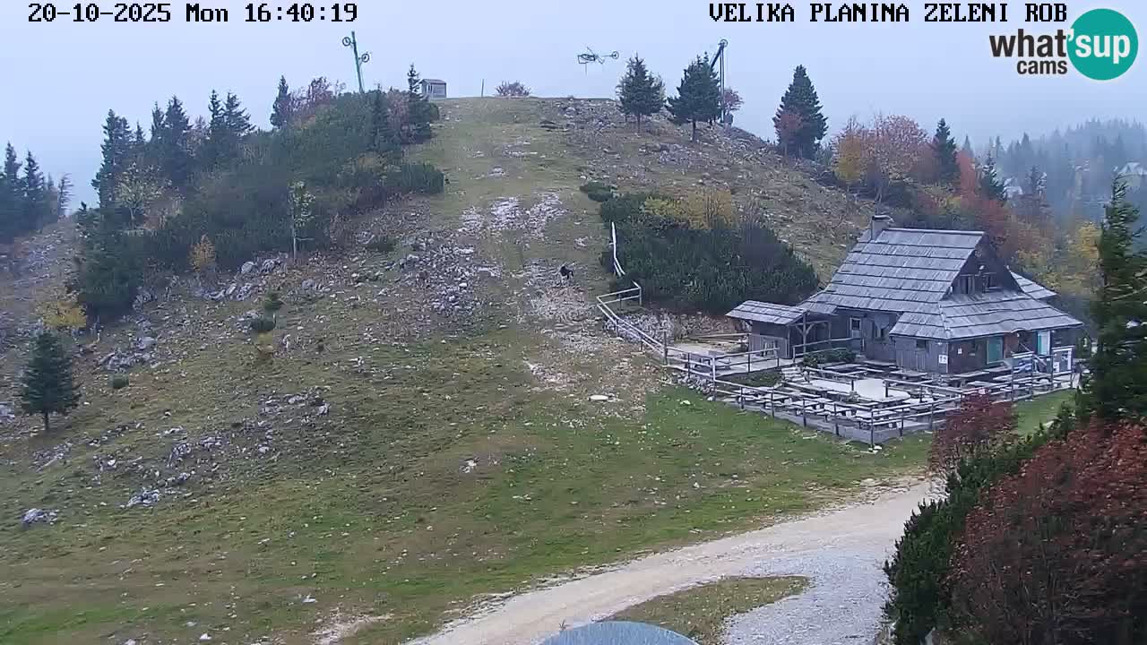 Zeleni Rob – Webcam live | Velika Planina