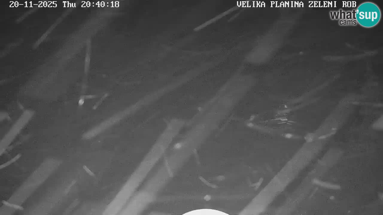 Zeleni Rob – kamera v živo | Velika Planina