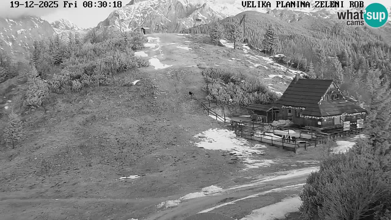 Zeleni Rob – kamera v živo | Velika Planina