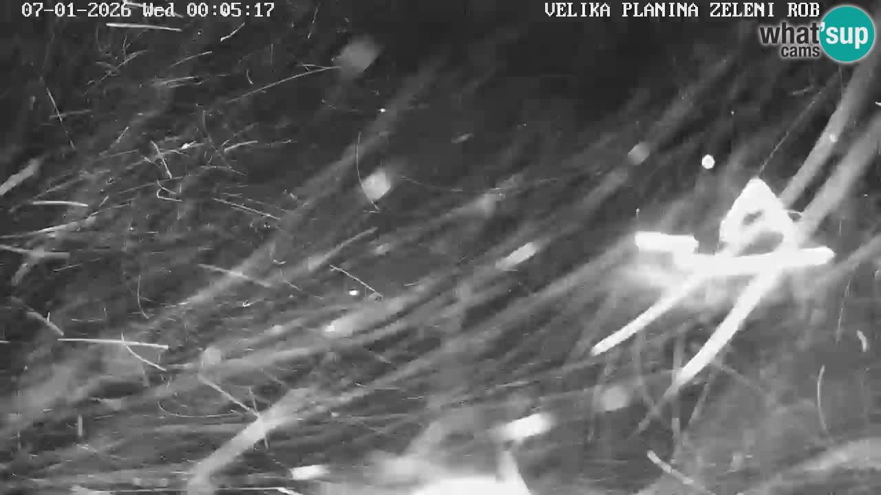 Zeleni Rob – kamera v živo | Velika Planina