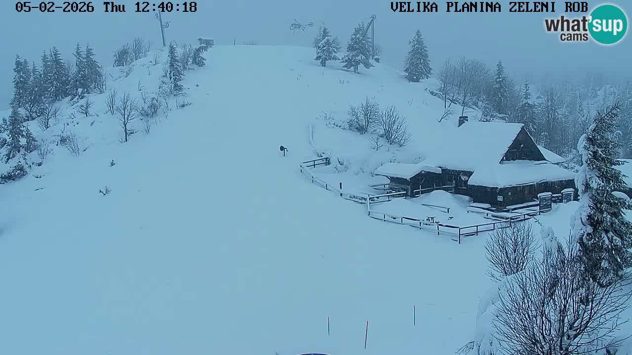 Zeleni Rob | Webcam live Velika Planina