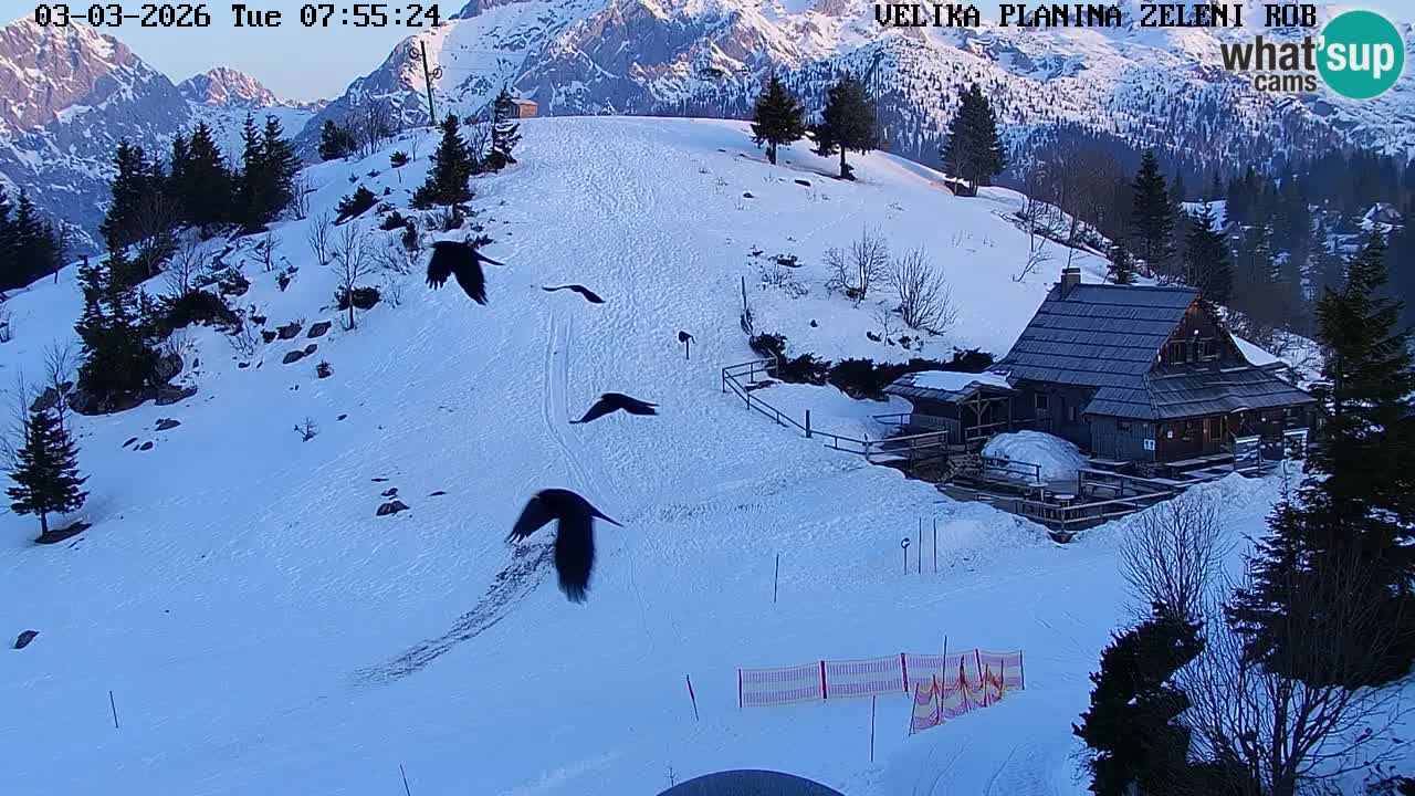 Zeleni Rob – Webcam live | Velika Planina