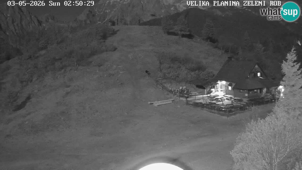 Zeleni Rob – kamera v živo | Velika Planina
