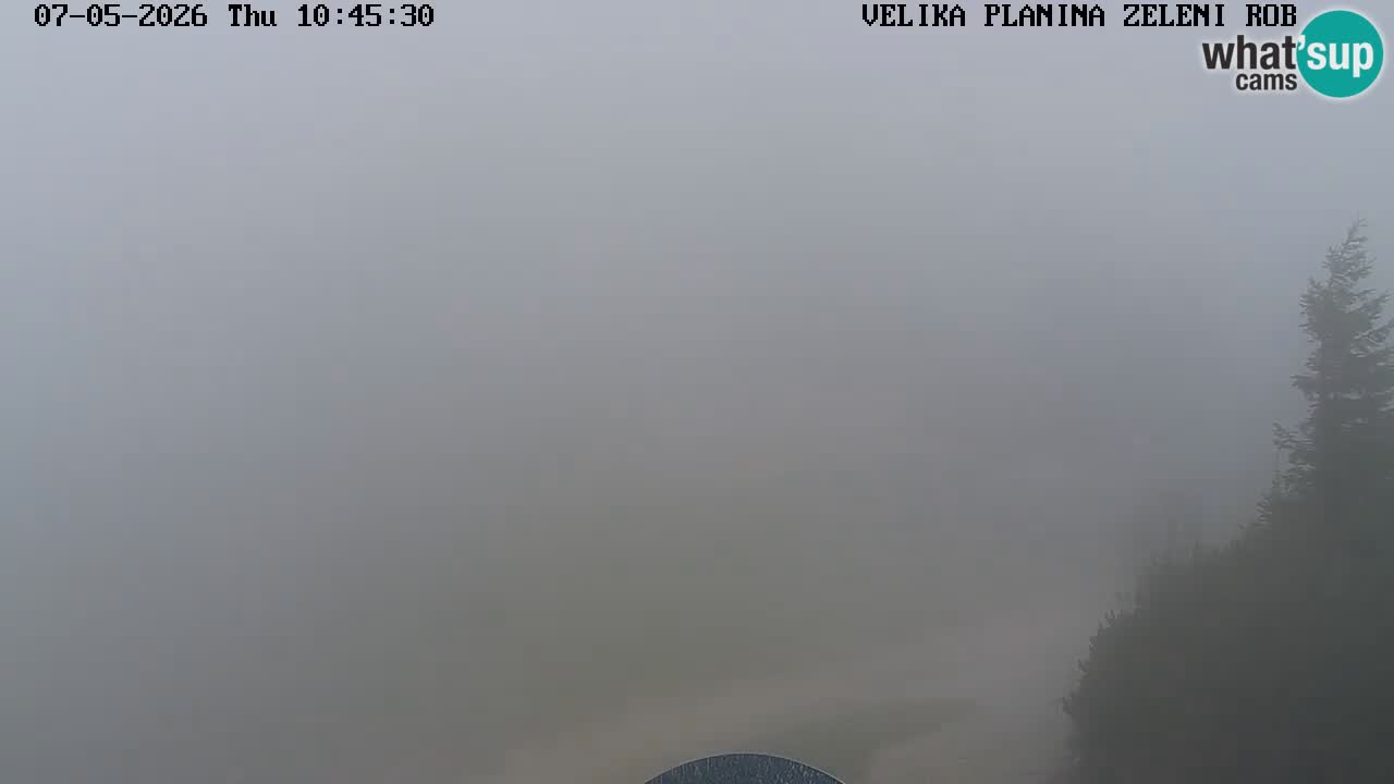 Zeleni Rob – kamera v živo | Velika Planina