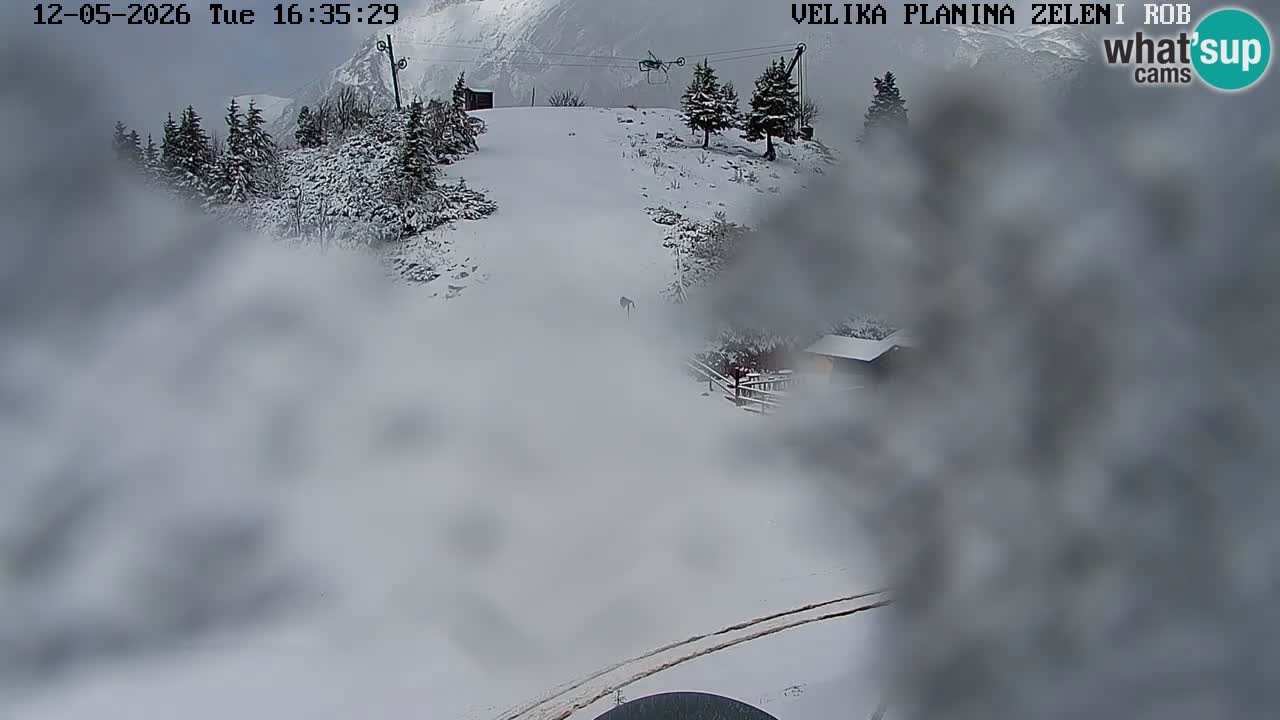 Zeleni Rob | Webcam en vivo Velika Planina