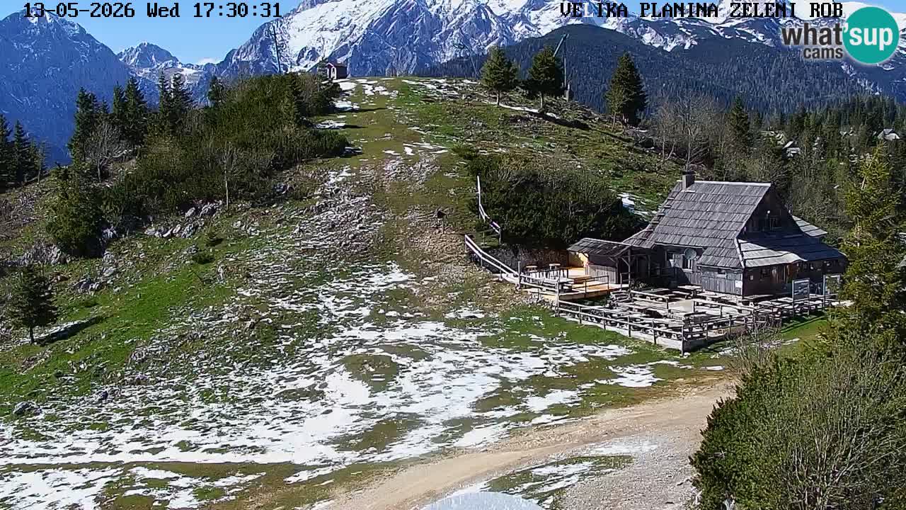 Zeleni Rob – kamera v živo | Velika Planina