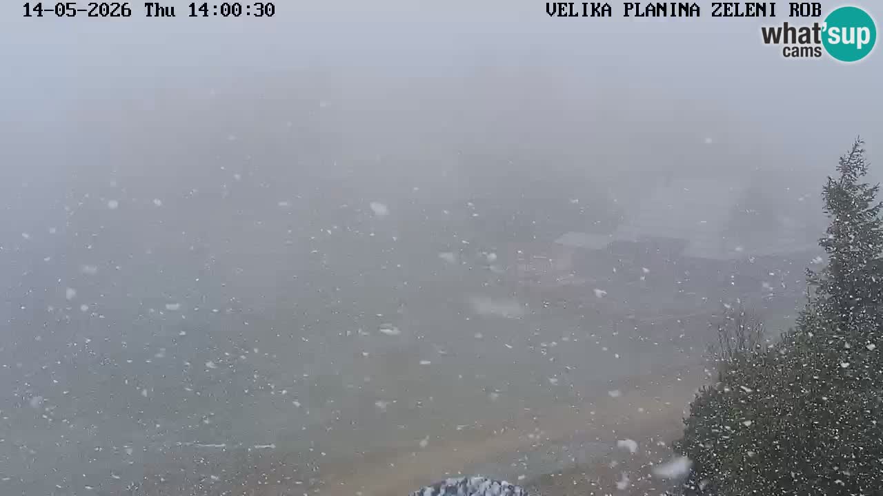 Zeleni Rob | Webcam live Velika Planina