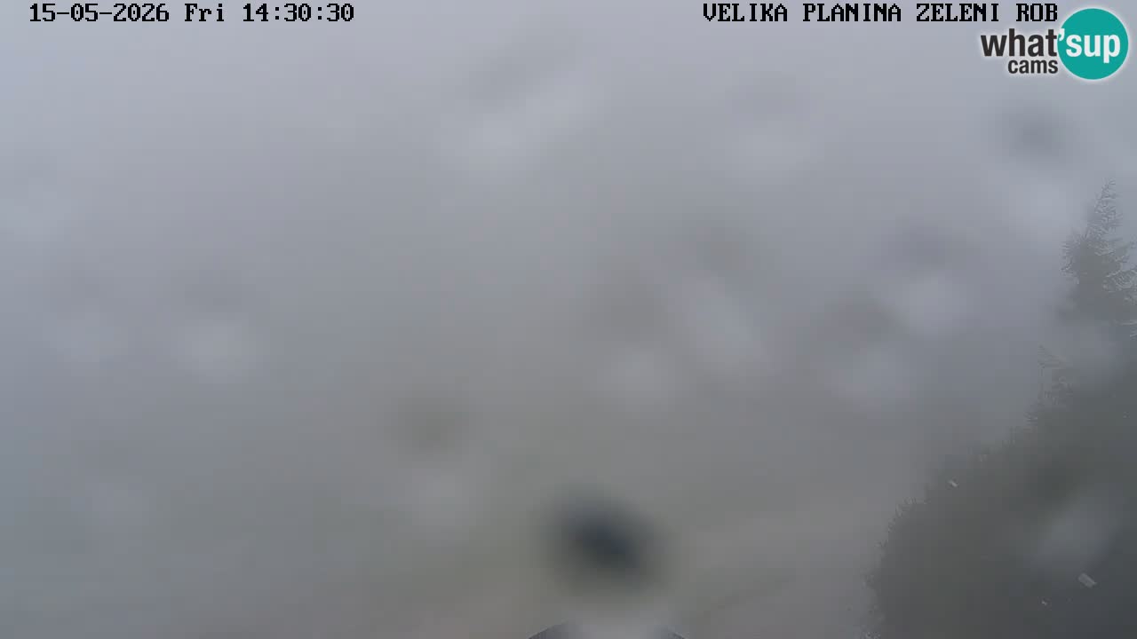 Zeleni Rob – kamera v živo | Velika Planina