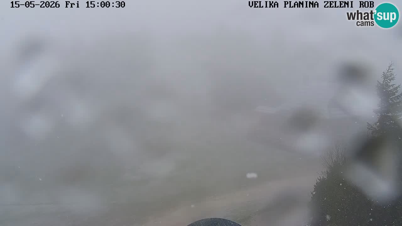 Zeleni Rob – kamera v živo | Velika Planina