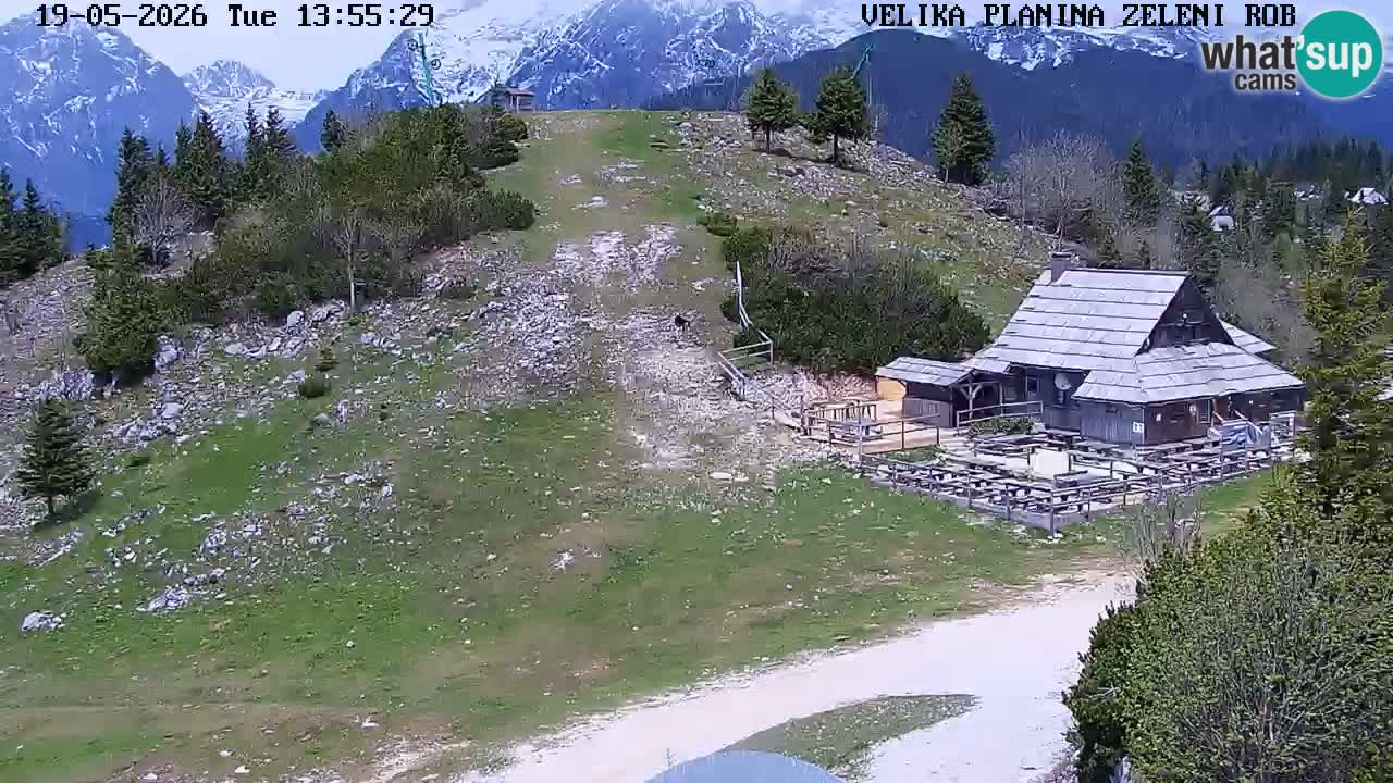 Zeleni Rob – kamera v živo | Velika Planina
