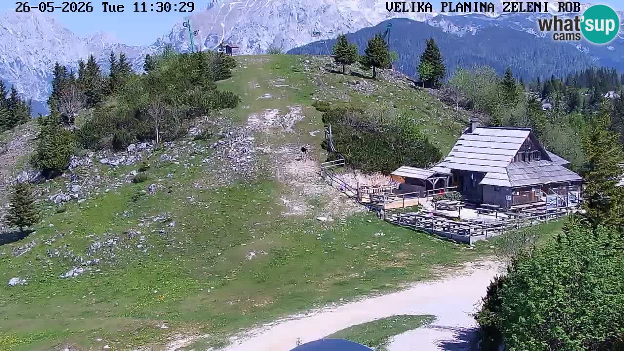 Zeleni Rob – kamera v živo | Velika Planina