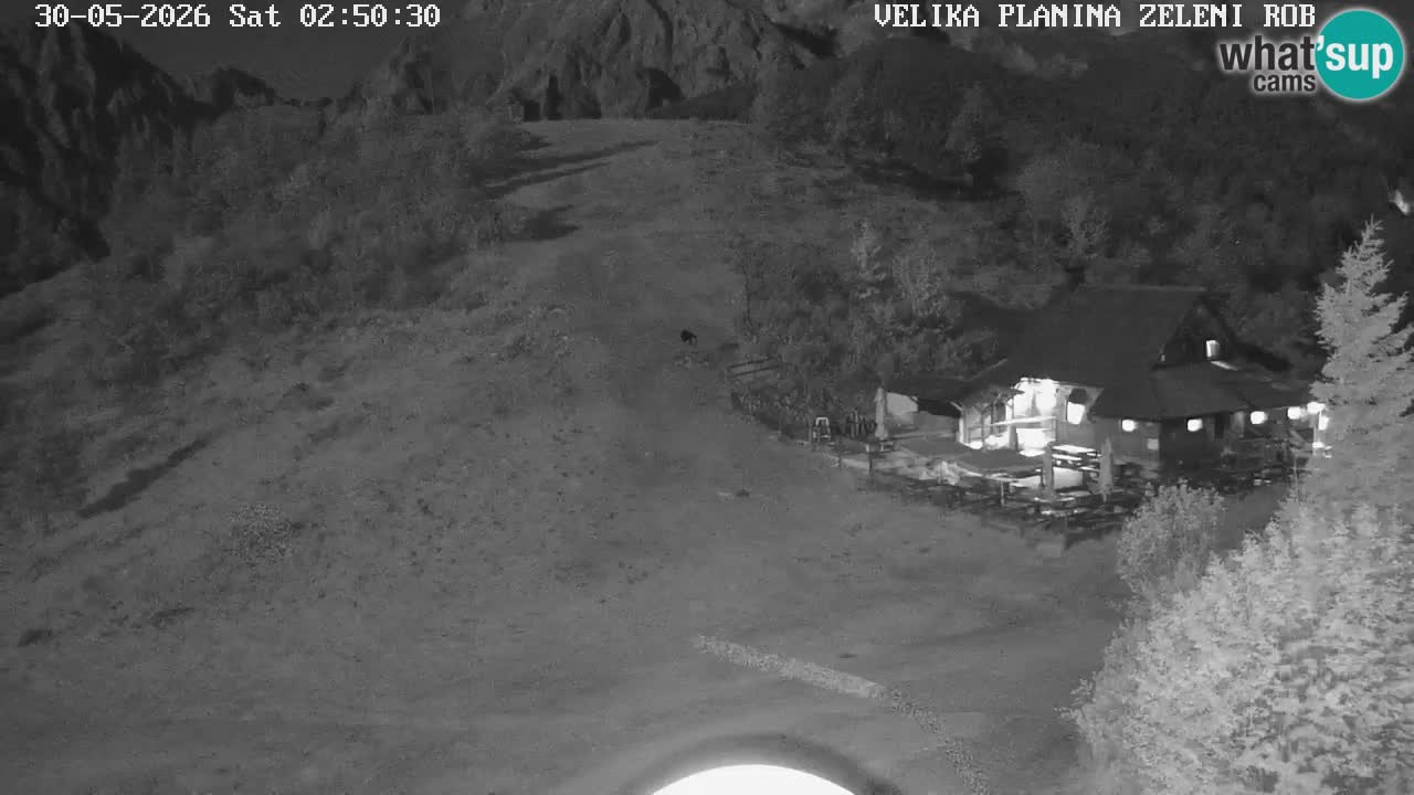 Zeleni Rob | Webcam en vivo Velika Planina