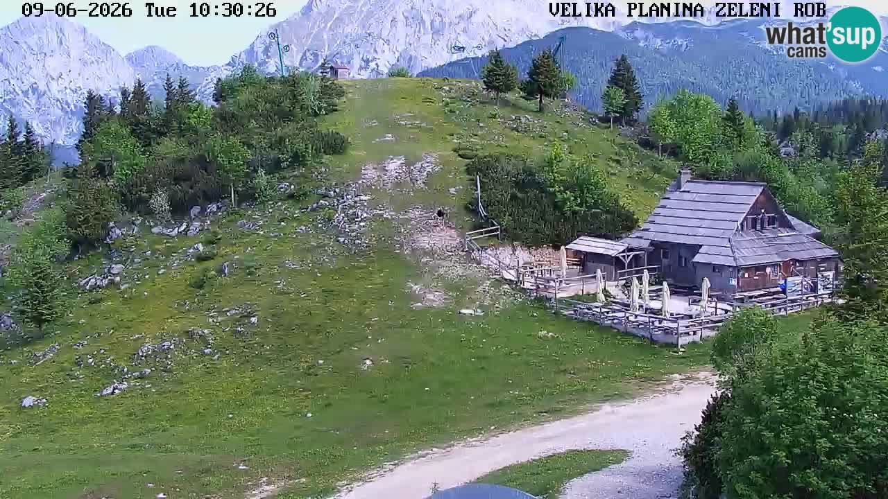 Zeleni Rob | Webcam live Velika Planina