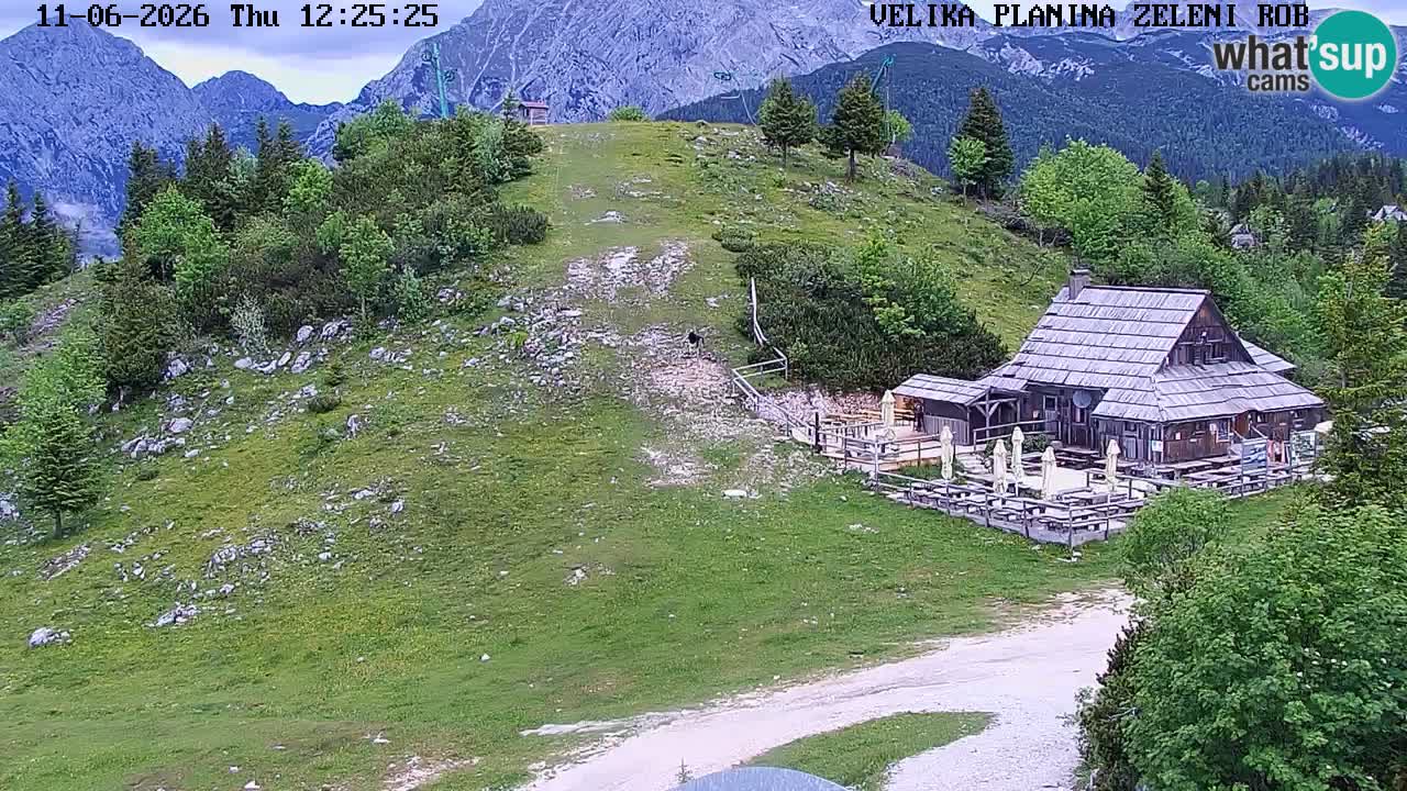 Zeleni Rob – kamera v živo | Velika Planina