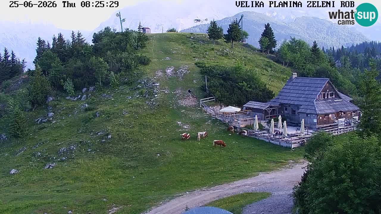Zeleni Rob | Webcam en vivo Velika Planina