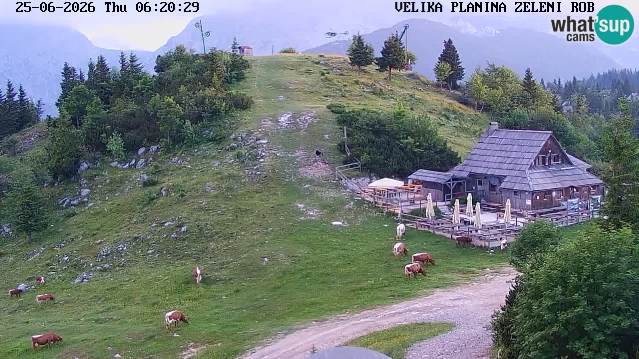 Zeleni Rob | Webcam live Velika Planina