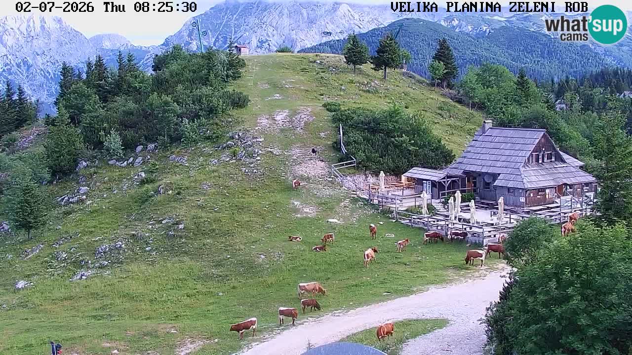 Zeleni Rob | Webcam live Velika Planina