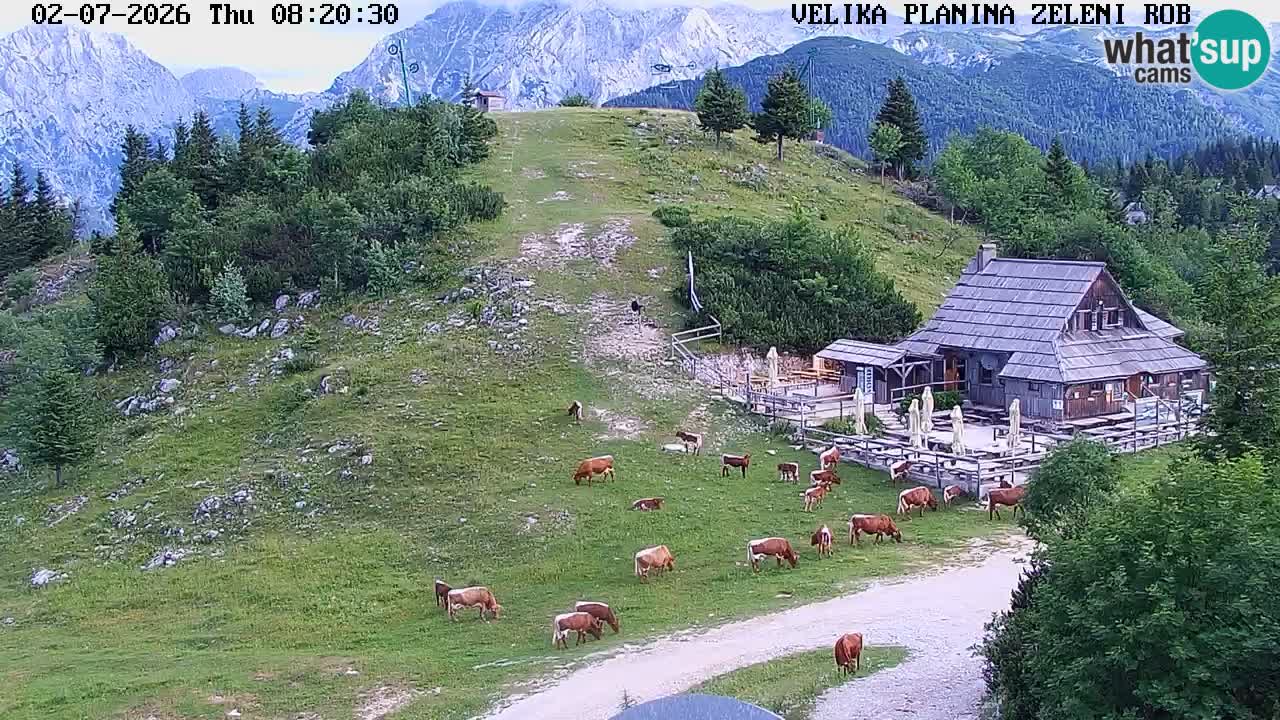Zeleni Rob – Webcam live | Velika Planina