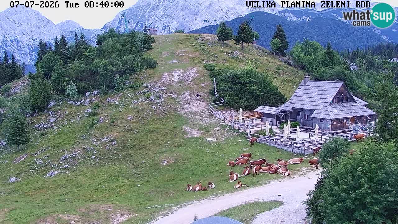 Zeleni Rob – Webcam live | Velika Planina