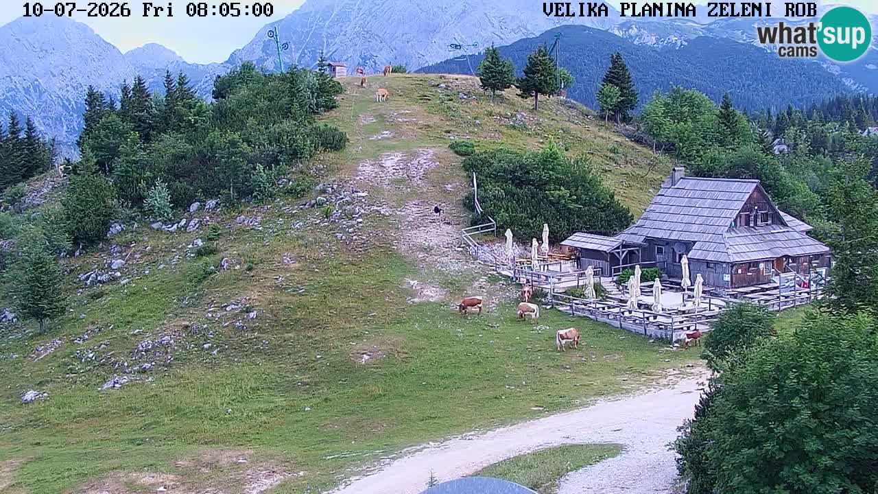 Zeleni Rob | Webcam live Velika Planina