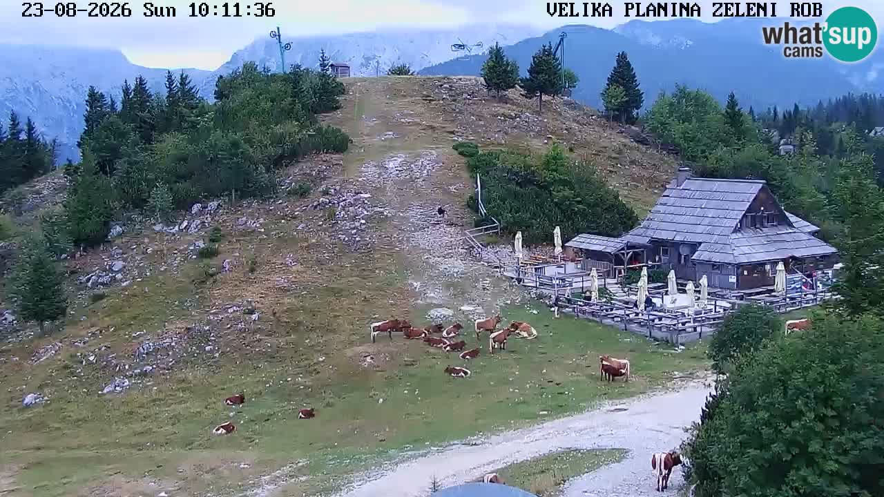 Zeleni Rob – Webcam live | Velika Planina