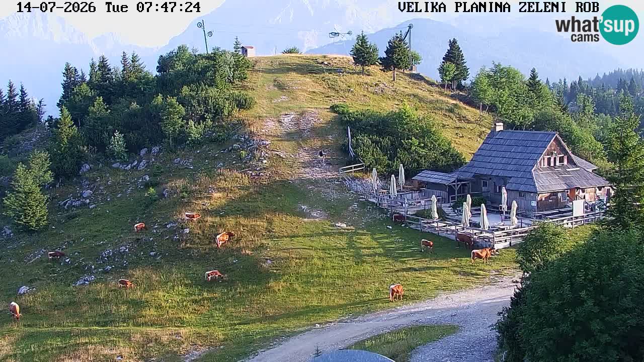 Zeleni Rob | Webcam live Velika Planina