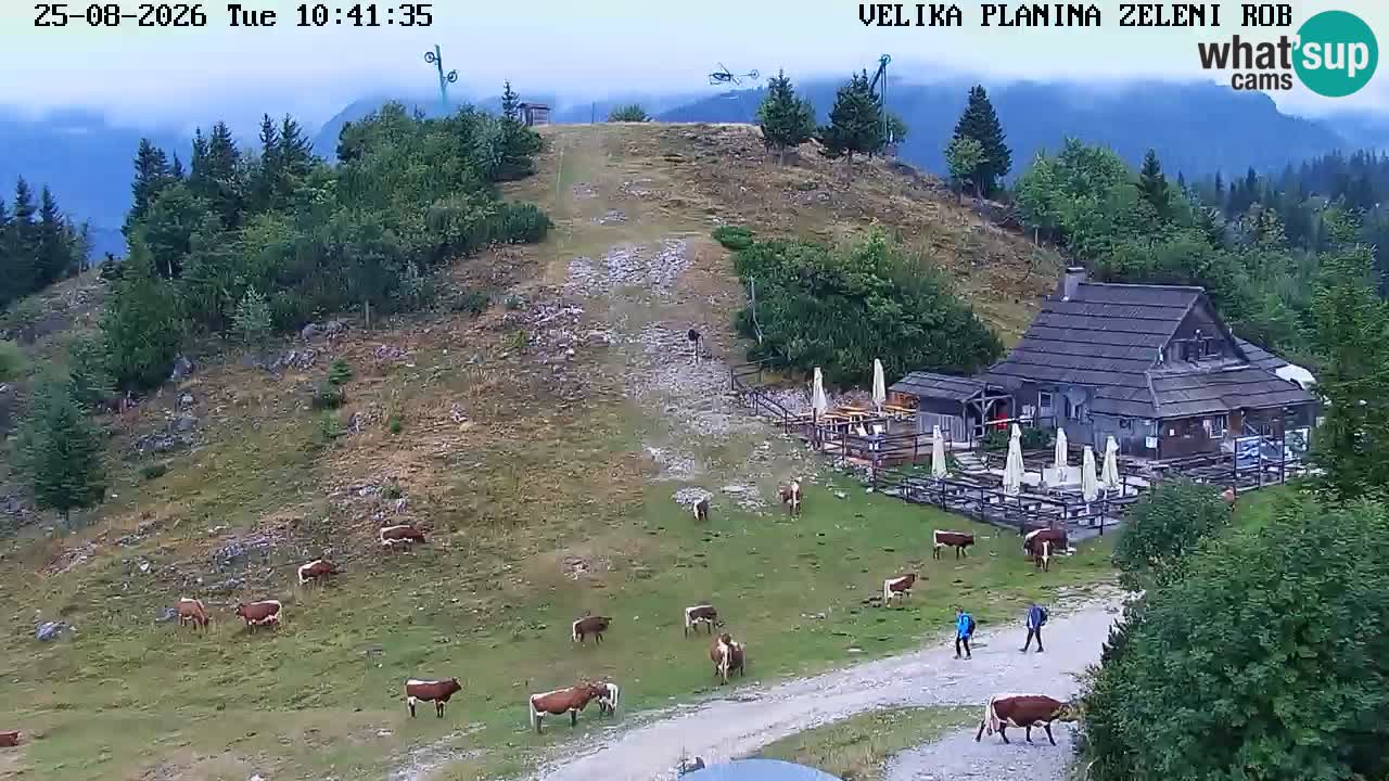 Zeleni Rob | Webcam live Velika Planina