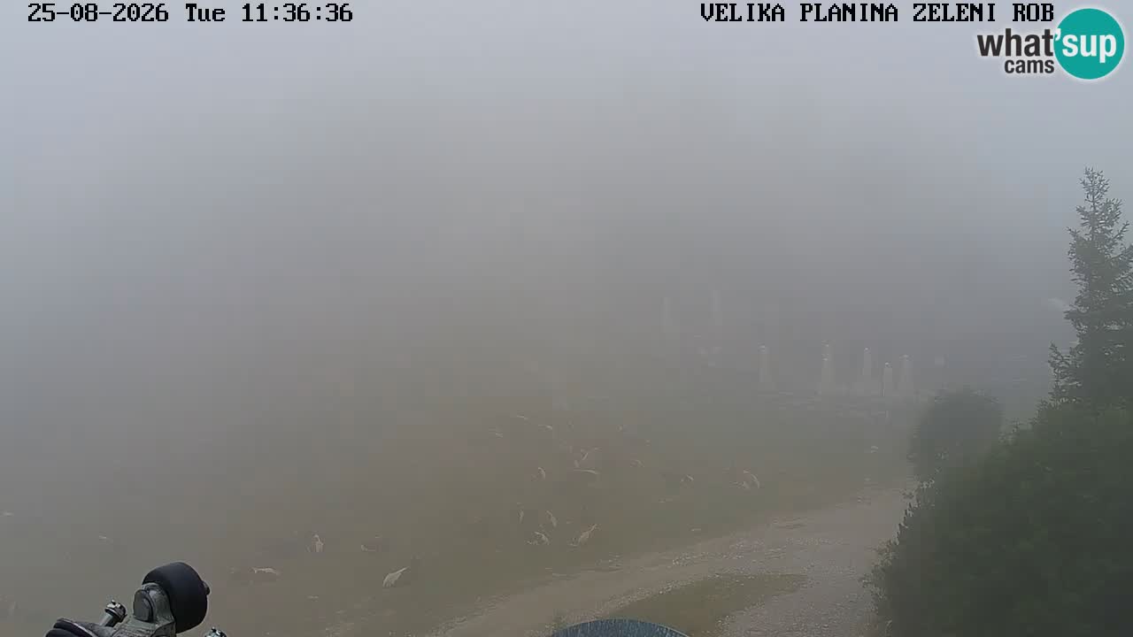 Zeleni Rob – Webcam live | Velika Planina