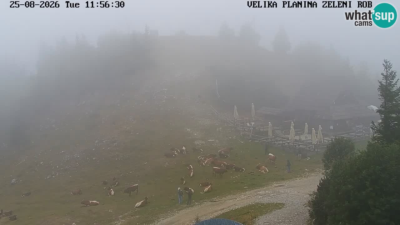 Zeleni Rob | Webcam live Velika Planina