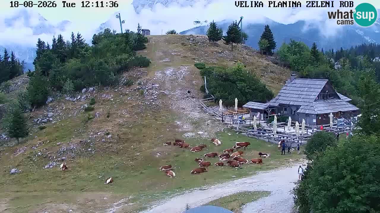 Zeleni Rob | Webcam en vivo Velika Planina
