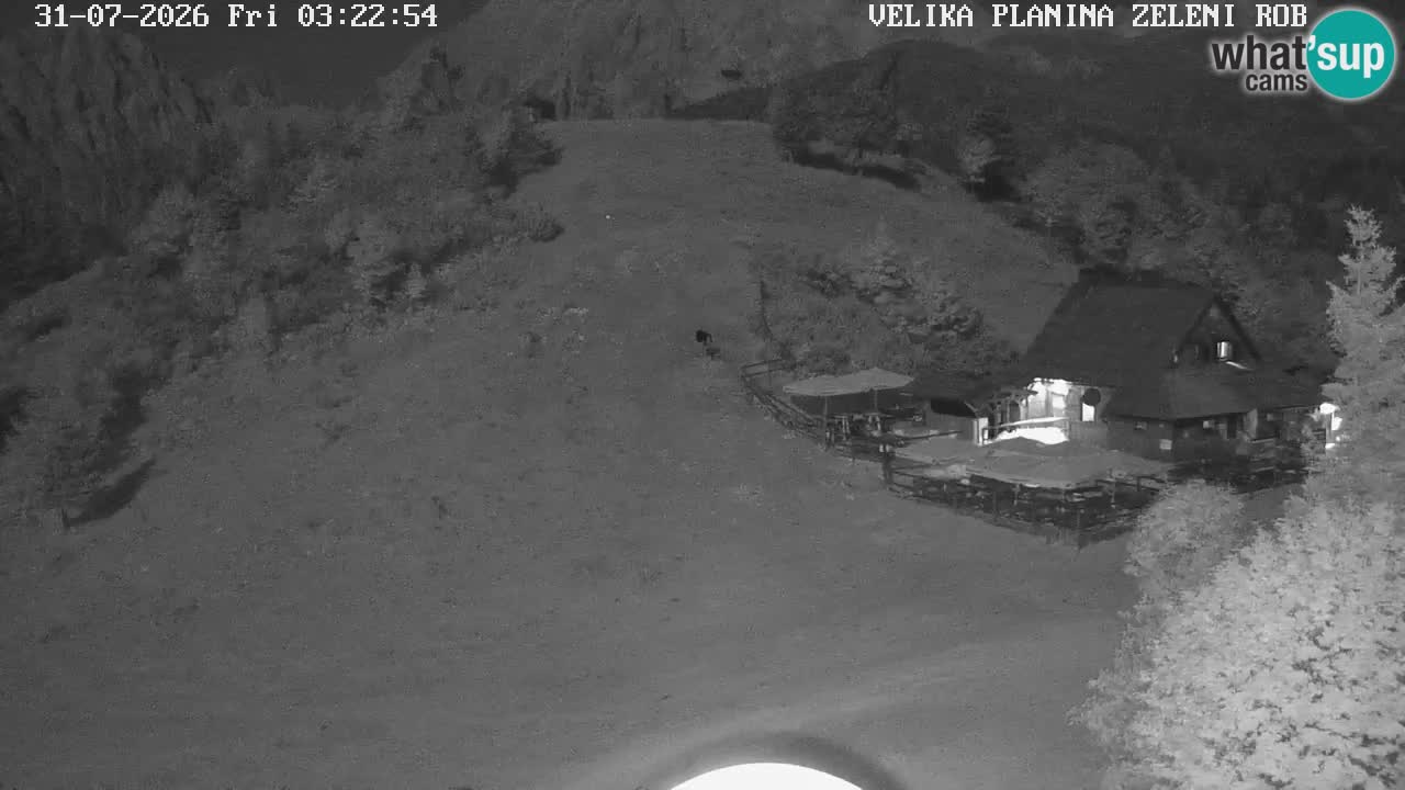 Zeleni Rob | Webcam en vivo Velika Planina