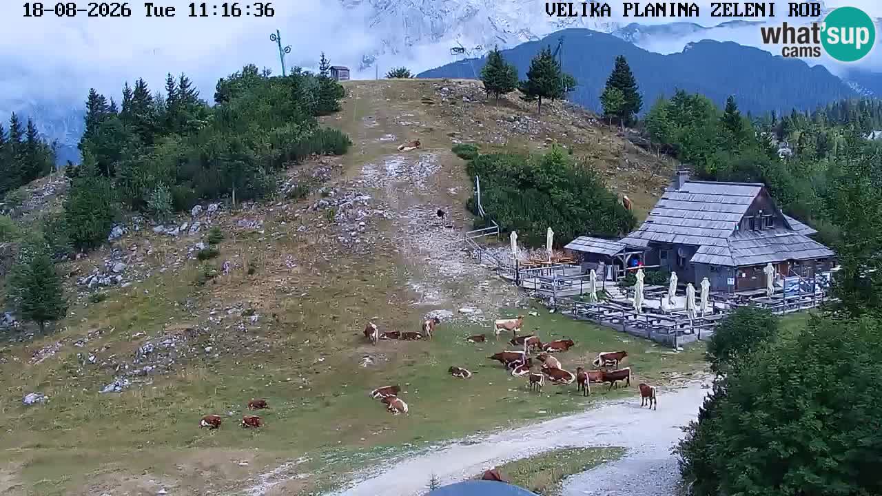 Zeleni Rob – Webcam live | Velika Planina