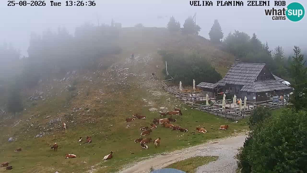 Zeleni Rob | Webcam en vivo Velika Planina