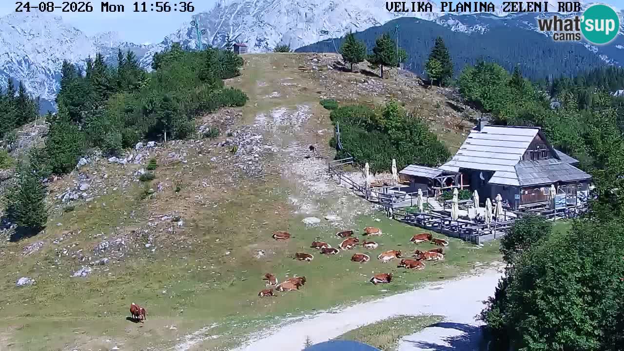 Zeleni Rob – Webcam live | Velika Planina