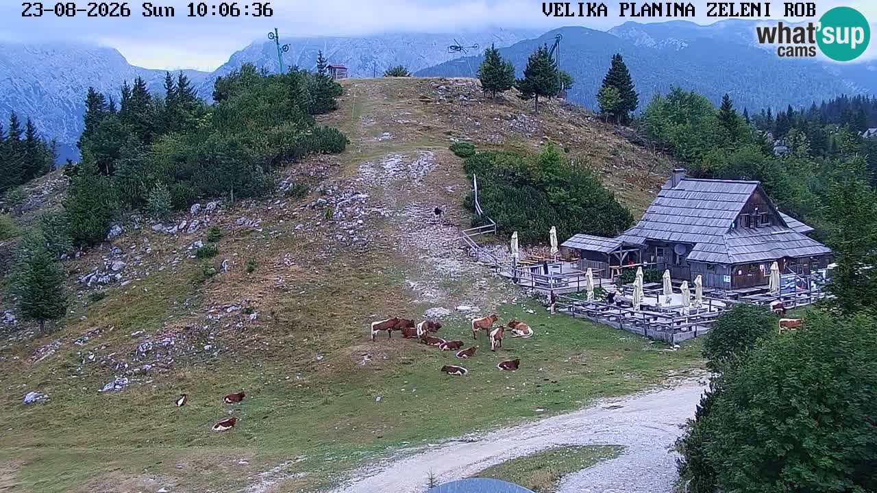Zeleni Rob – Webcam live | Velika Planina