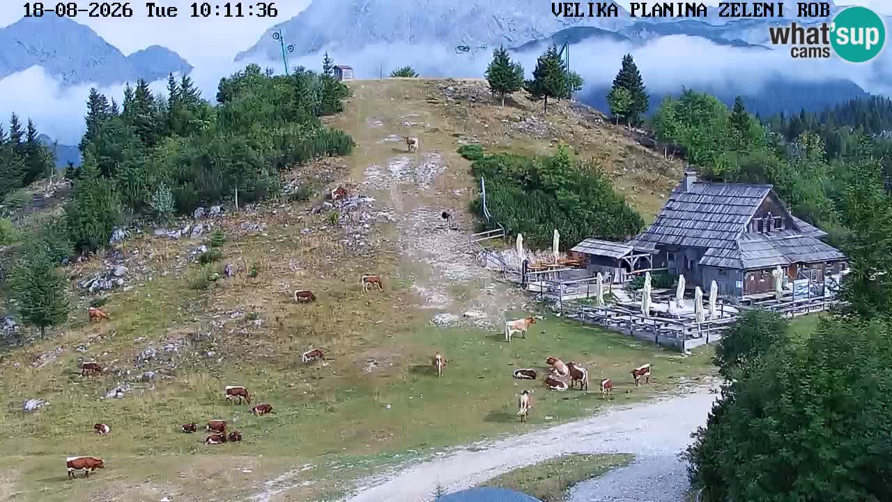 Zeleni Rob | Webcam en vivo Velika Planina