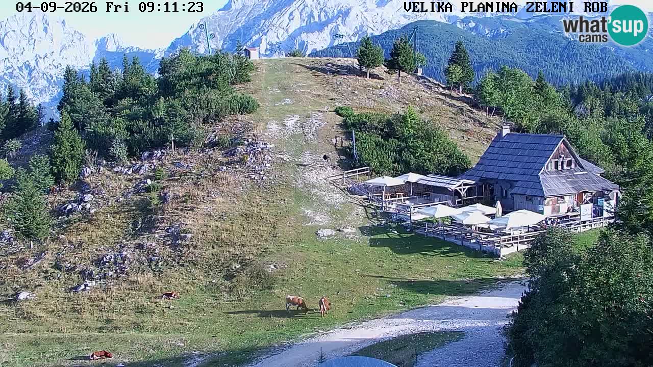 Zeleni Rob – kamera v živo | Velika Planina