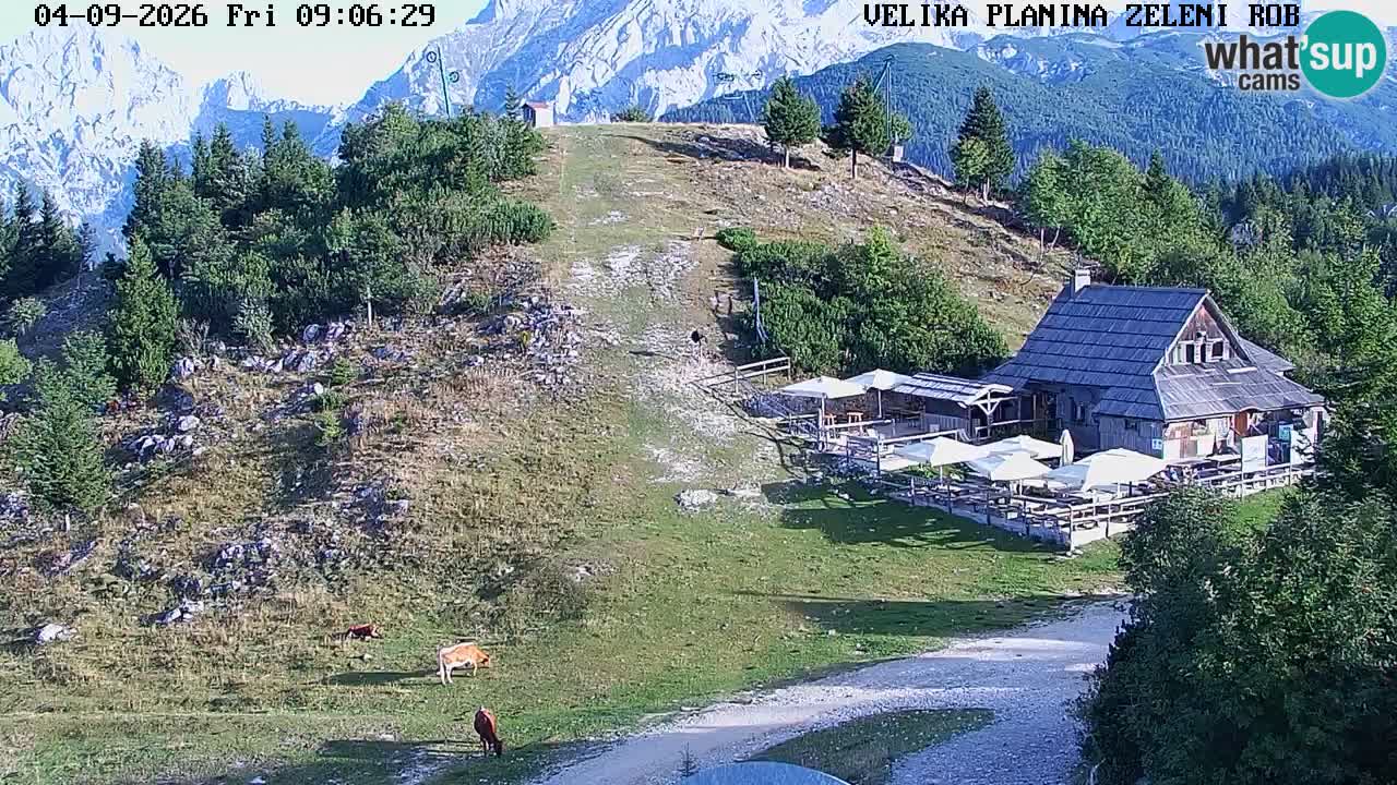 Zeleni Rob | Webcam en vivo Velika Planina