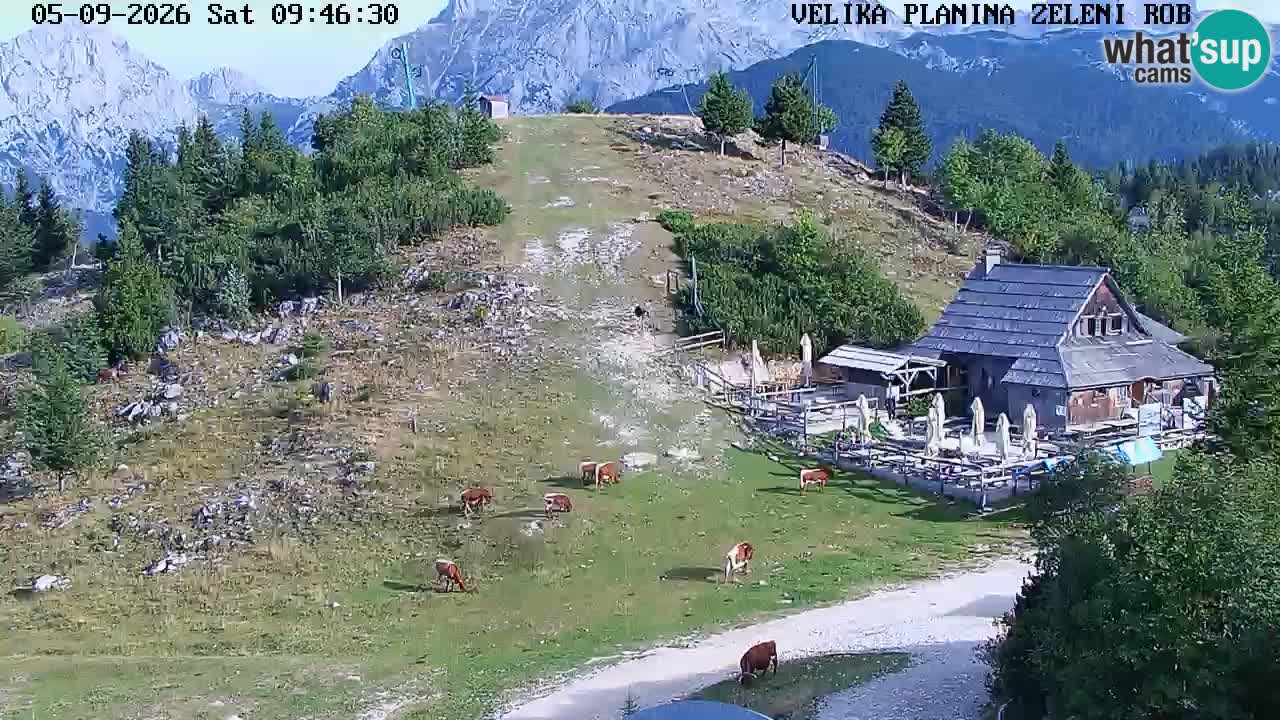 Zeleni Rob – kamera v živo | Velika Planina