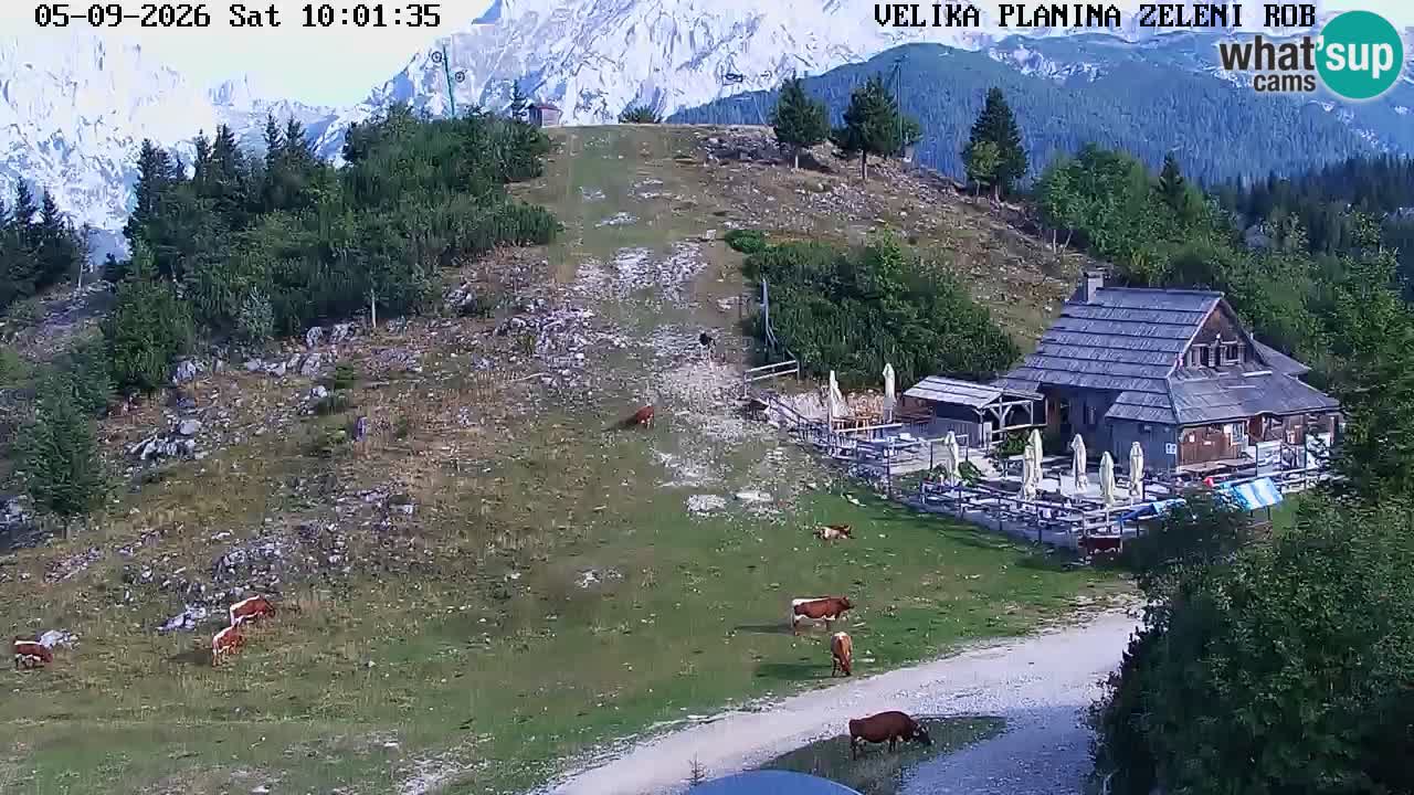 Zeleni Rob – kamera v živo | Velika Planina