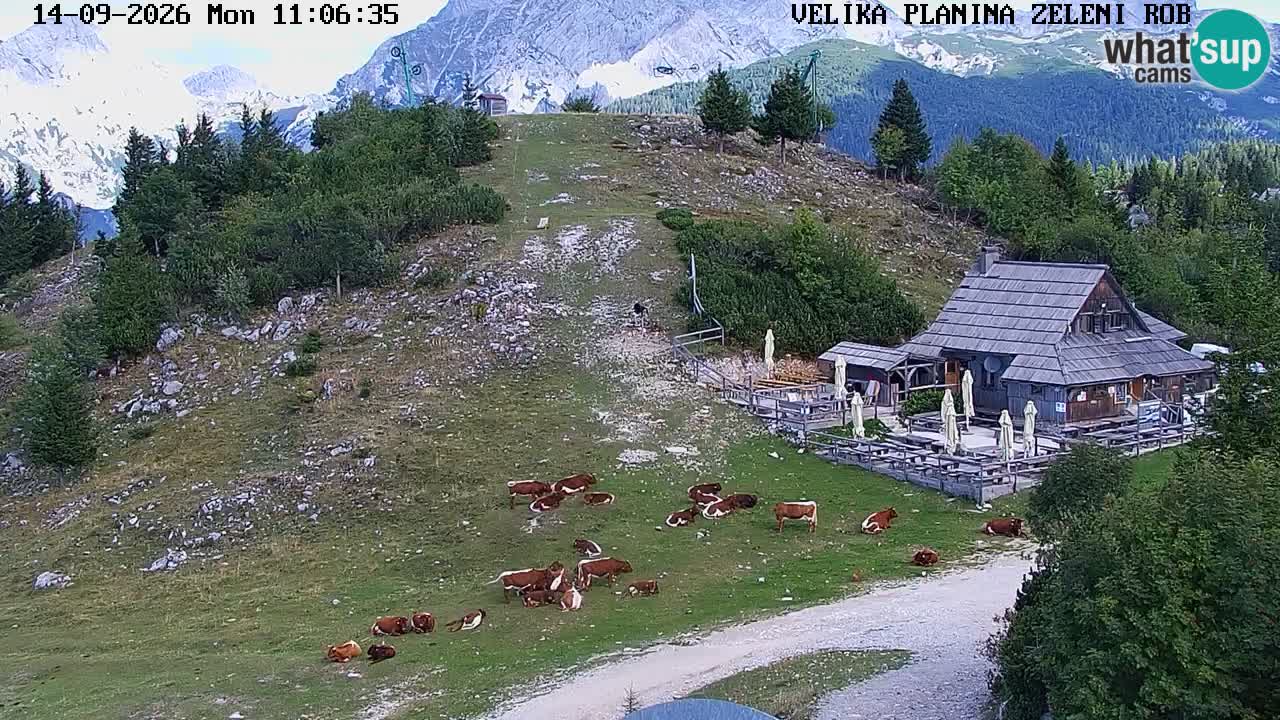 Zeleni Rob – Webcam live | Velika Planina